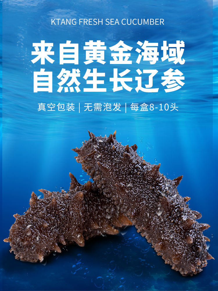 金唐鲜食海参250g*2盒
