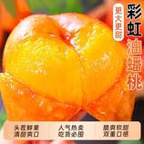 共同
