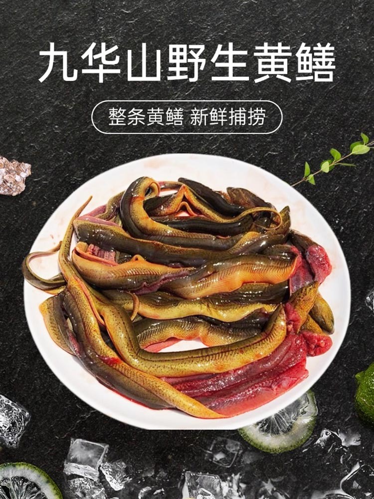 九华山（野生黄鳝）1斤鲜活现杀（杀好净膛400g）