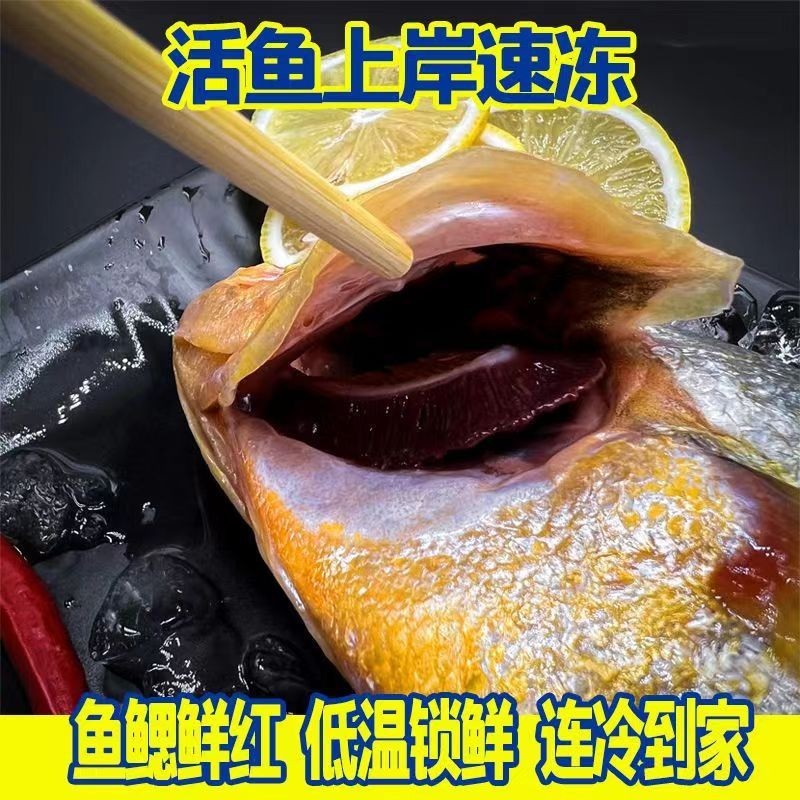 【顺丰冷链】7条深海捕捞野生大黄鱼（200-250g）