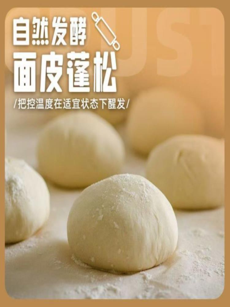 【买50个送50个】鲜肉小笼包 （发100个）半成品 早餐速食