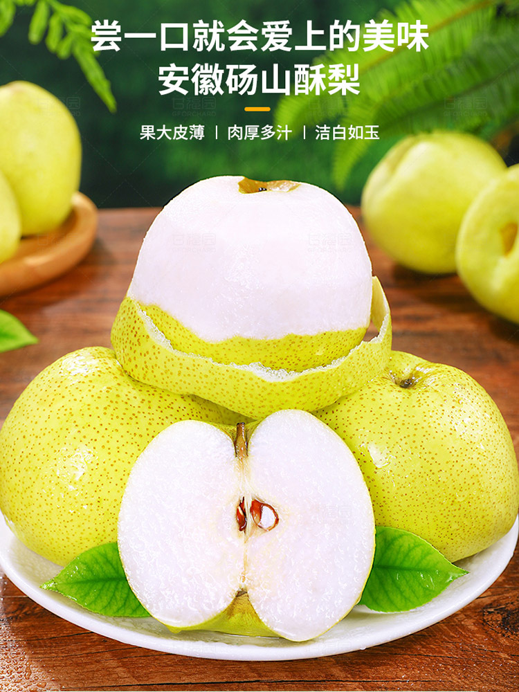 砀山酥梨现摘现发9斤大果【单果350g+】 甜脆多汁 新鲜水果 当季砀山梨