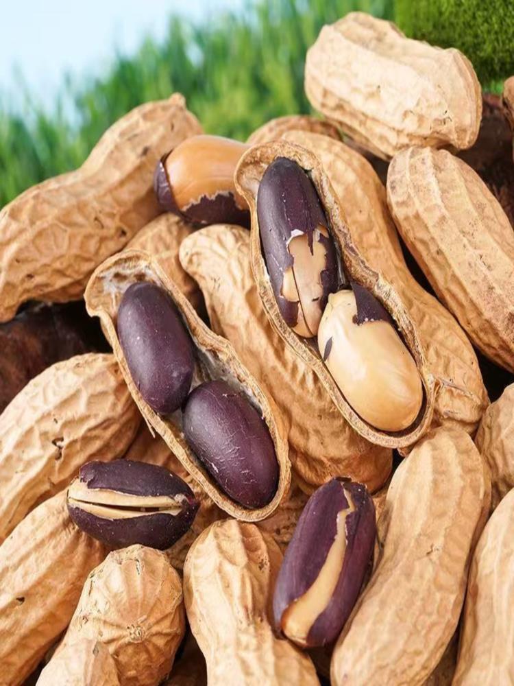 炒熟带壳黑花生 250g*4袋 云南带壳老品种 晒干黑花生米 紫皮花生