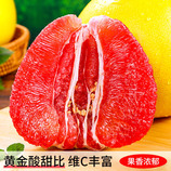 共同