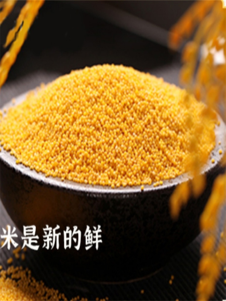 蒙清5斤装小香米内蒙清水河特产黄小米新米上市