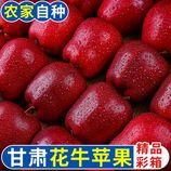 共同
