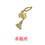 水瓶座