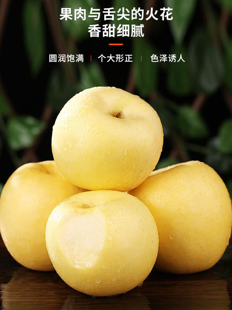 奶油富士净重8.5斤特大果【单果85-90mm】脆甜多汁 圆润饱满 香甜细腻