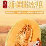 共同
