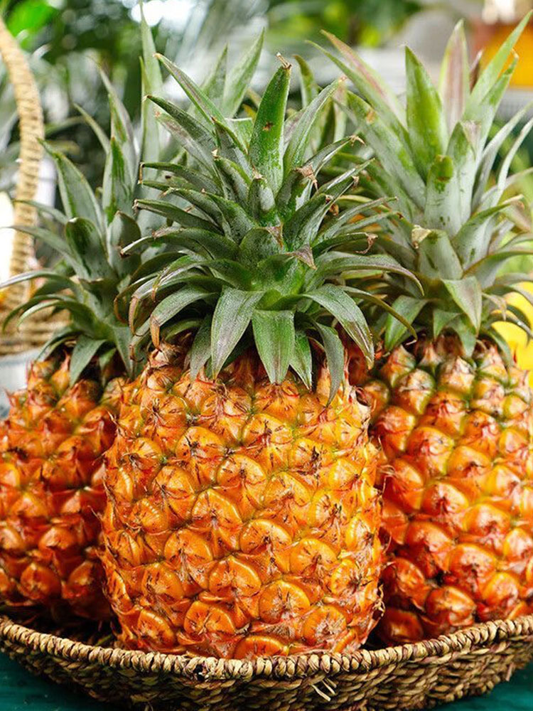 海南 金钻凤梨·净重3斤装