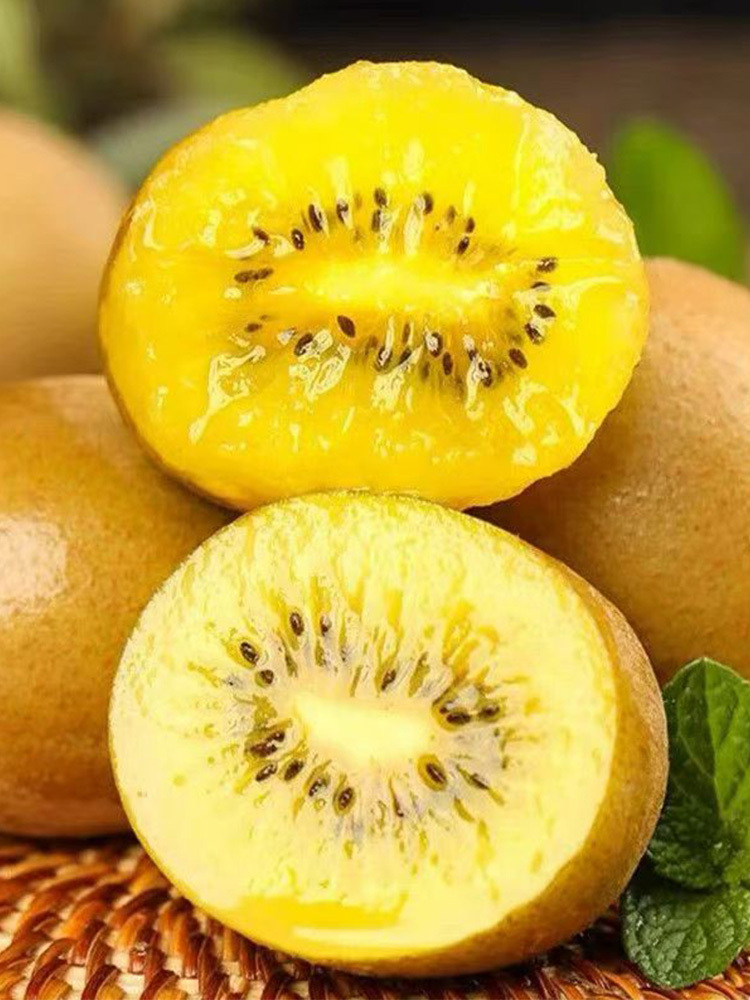 黄心猕猴桃【70-90g】·中果24粒