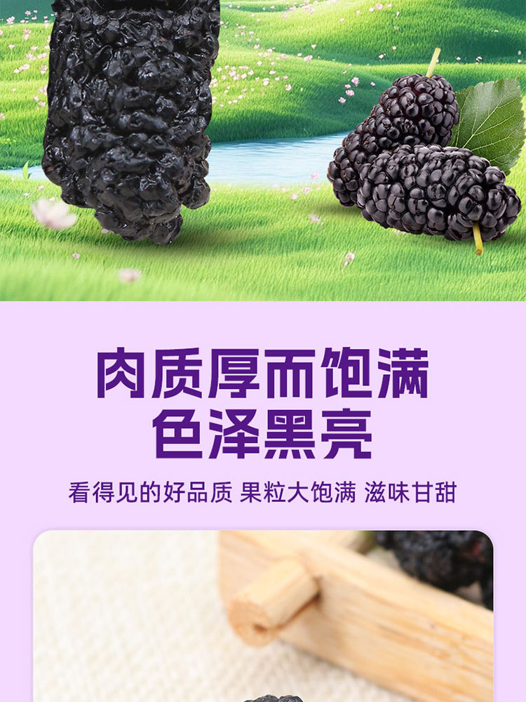 一品玉新疆黑桑葚干100g*5袋