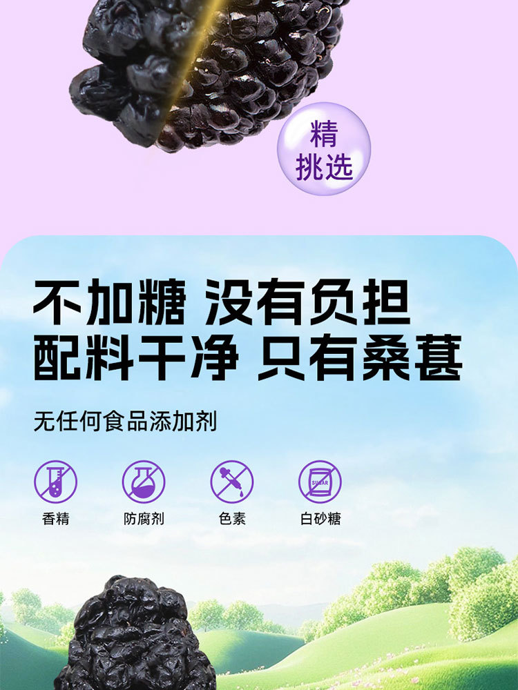 一品玉新疆黑桑葚干100g*5袋