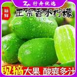 共同