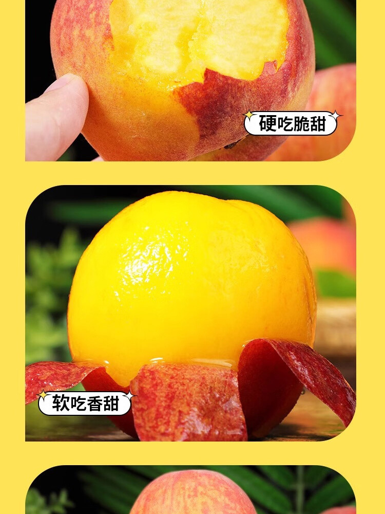 彩虹黄桃【红皮黄肉毛桃】净重4.5斤【单果125g+】【15-18枚】