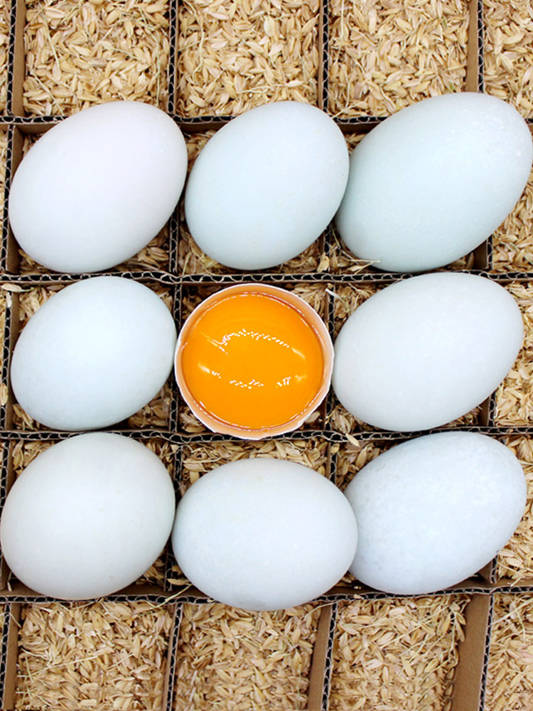 （有样儿农场）鲜鸭蛋30枚（70-80g/枚）·盒装