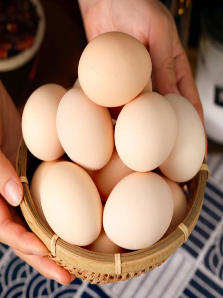 散养土鸡蛋 40枚 新鲜农村 笨鸡蛋 柴鸡蛋 虫草蛋