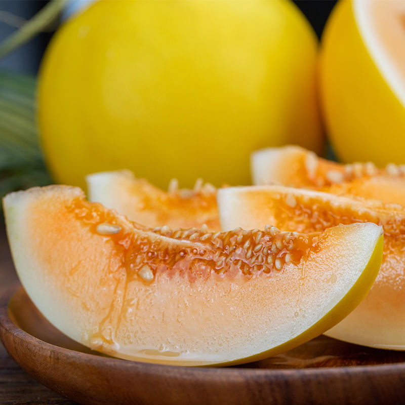 民勤沙漠黄金蜜瓜 8-9斤,香甜可口,水嫩多汁