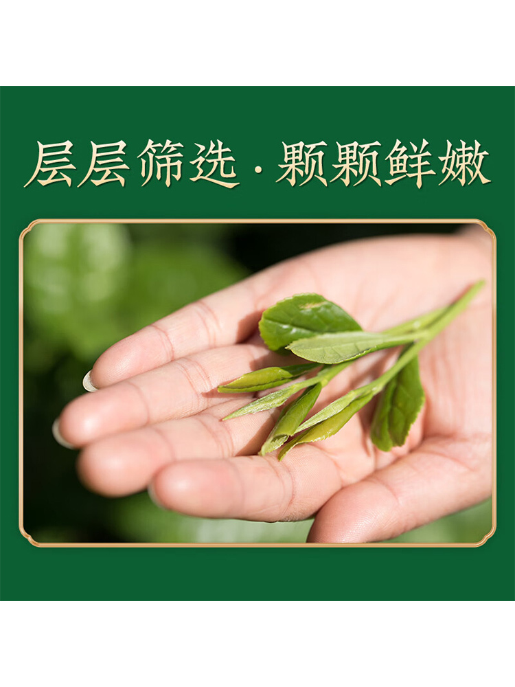 贵茶贵州绿茶一级宝石250g过年送人长辈领导礼盒装茶叶