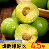 净重4.5斤