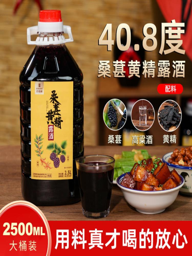 桑葚黄精酒 5斤40.8度 聚会睡前小酌甜酒微醺