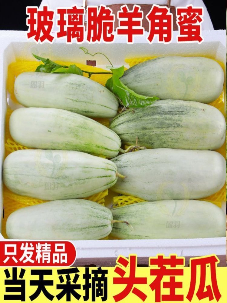 羊角蜜甜瓜 3斤装 净重2.5-2.7斤 头茬原棚高品质(山东菏泽)