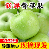 共同