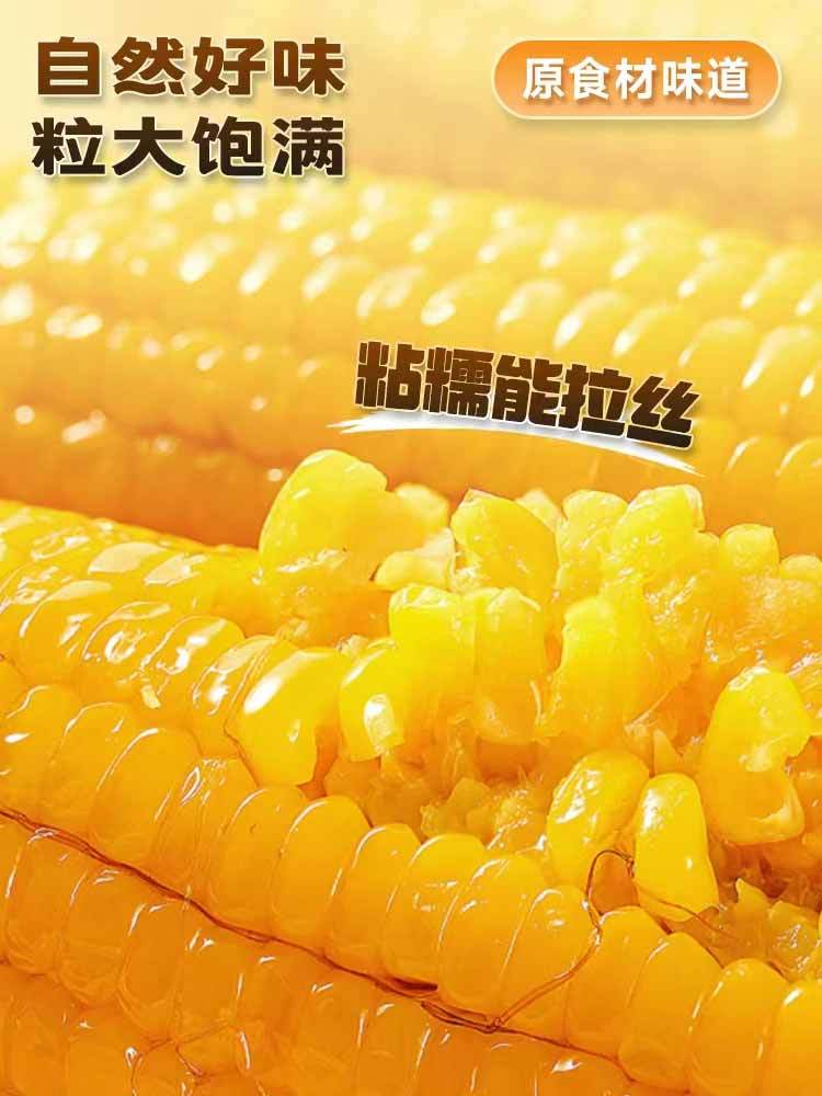【到手20根】有机·东北鲜食黄糯黏玉米220g/根（糯9）