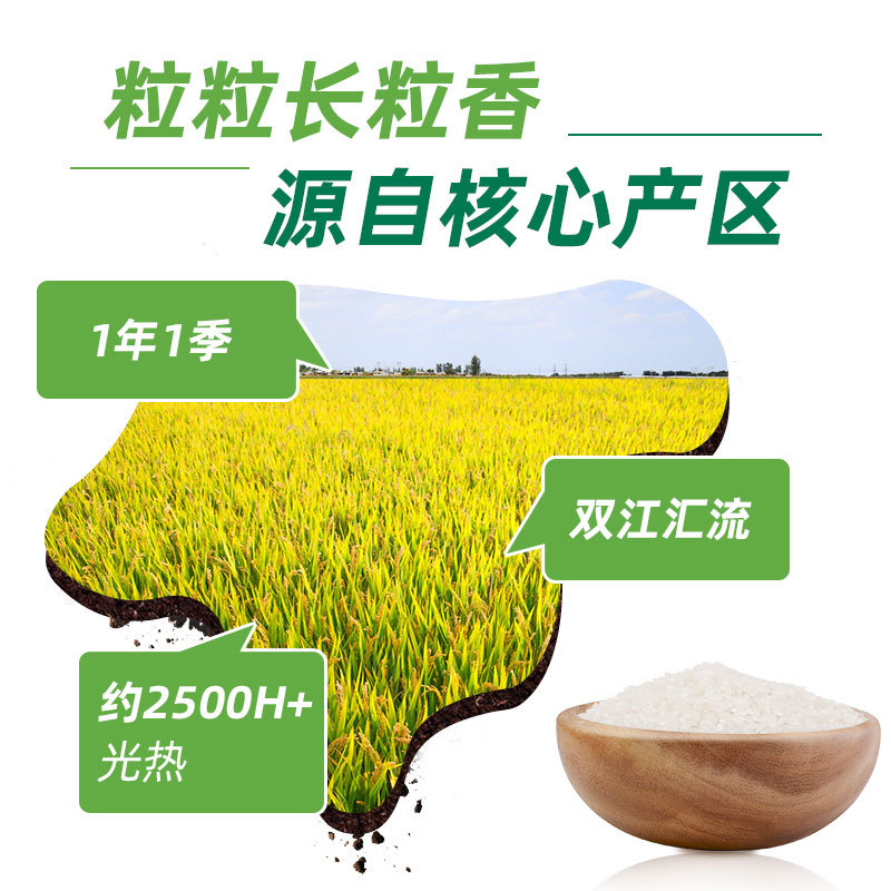 美村农场 长粒香大米  5kg10斤 粳米 长粒香米5kg