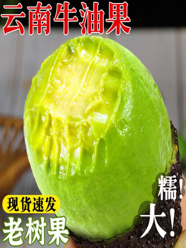 【果园精选】牛油果 8枚 100-130g/枚 新鲜当季水果 甄选大果 健康轻食