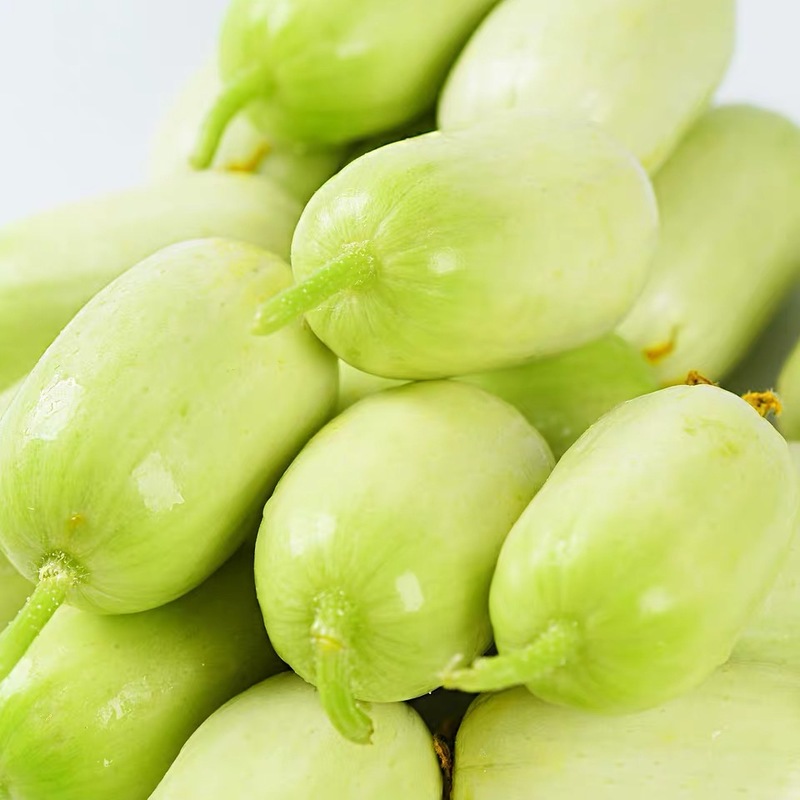 金童玉女小黄瓜新鲜3斤顺丰包邮