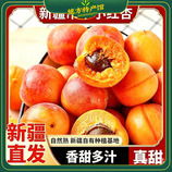 共同