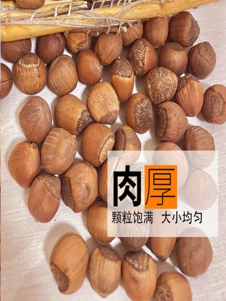 【送夹核器】东北大榛子 2斤 500g*2袋 嘎嘎香 新货现炒