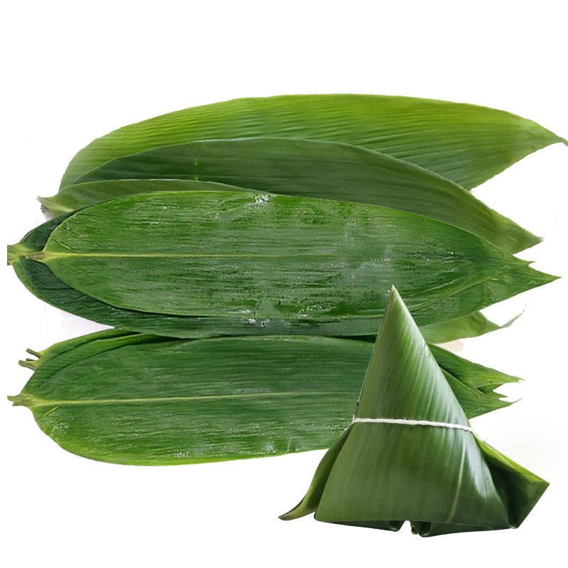 湖北恩施新鲜箬竹大粽子叶100片