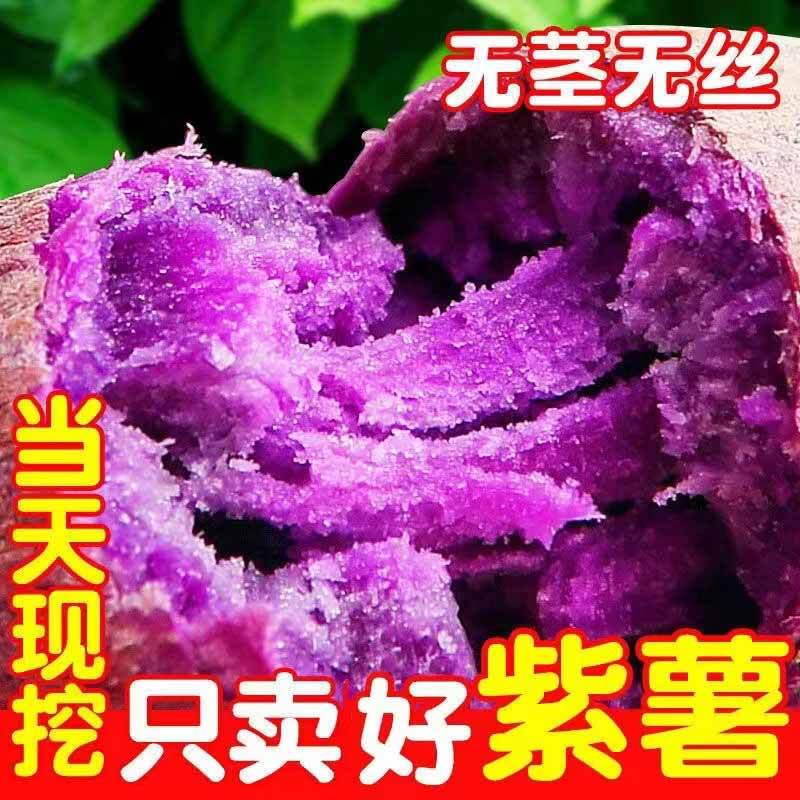 正宗紫罗兰紫薯约10斤