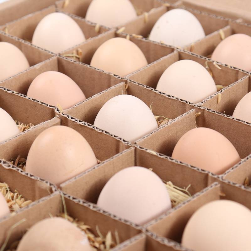 【助农】皖北林下散养土鸡蛋 30枚   农家农户土鸡蛋