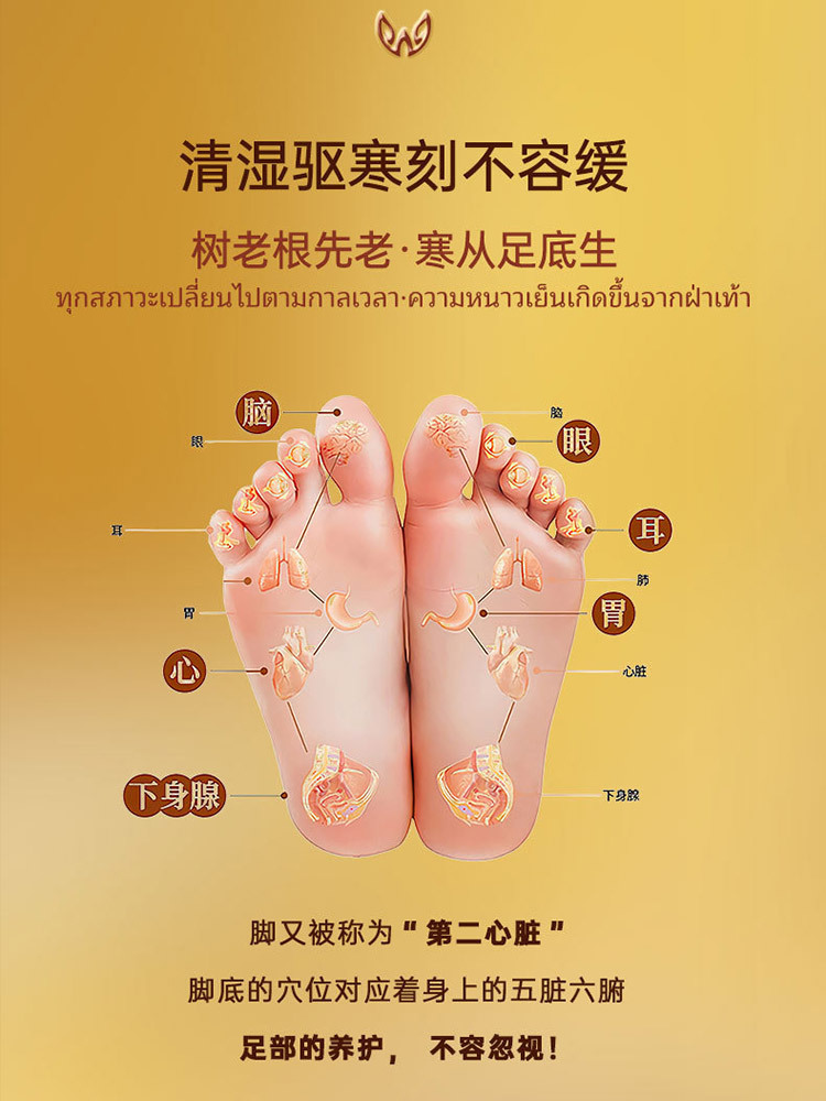 兰纳睡眠足贴10贴/包*6包