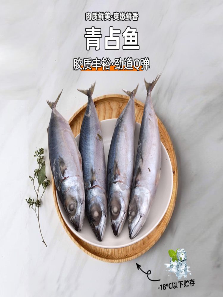 【顺丰速运】无冰大号青占鱼 4斤 鲐鲅鱼 青鱼新鲜冷冻 青花鱼 鲅鱼马