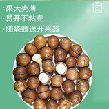 共同