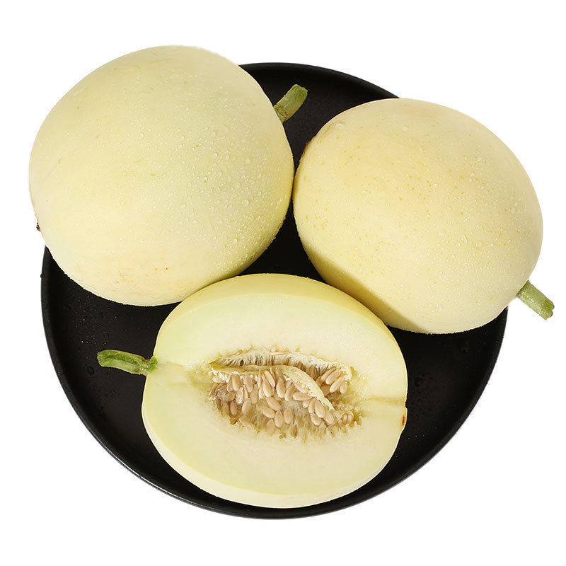 郁金香小甜瓜 净重5斤精选鲜果,蜜甜多汁,瓜香浓郁,爽口解腻.