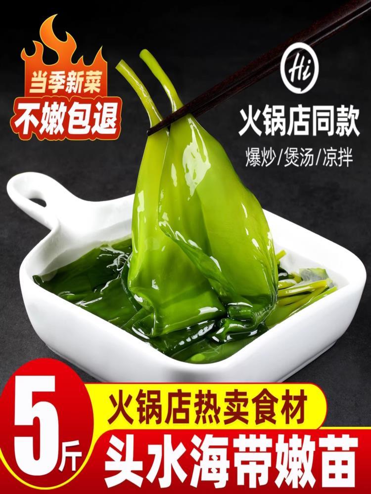 海带苗 500g*5包（小苗） 霞浦特产级新鲜嫩苗火锅食材