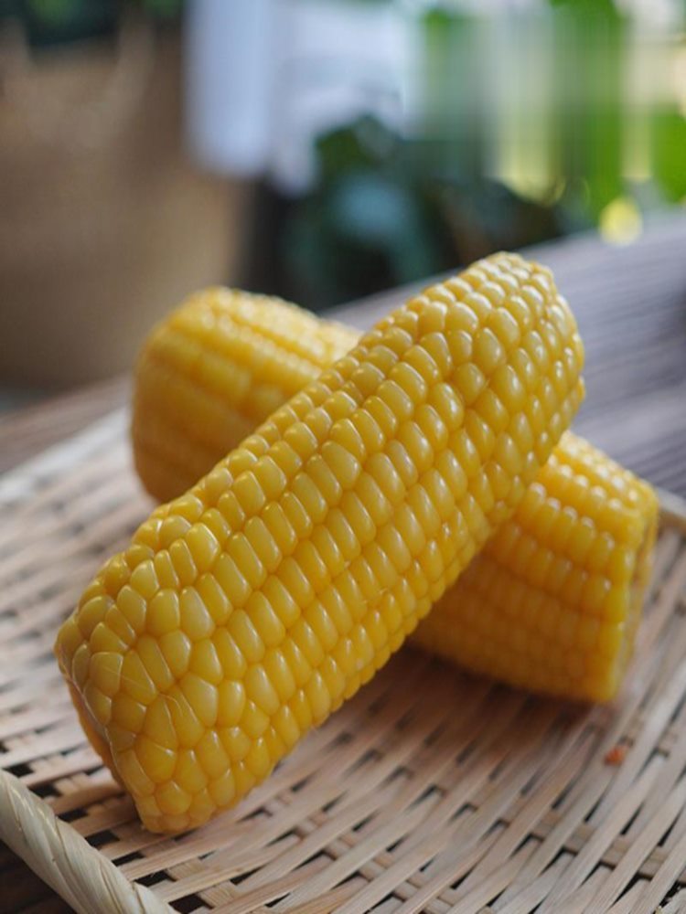 东北黄糯玉米 20棒 玉米 分2个快递 (140g-180g)/棒