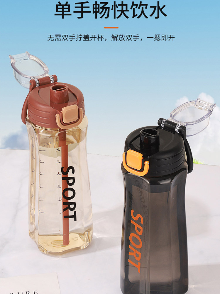 2个大容量太空杯随手杯户外运动水杯带吸管杯·棕色【750ML】