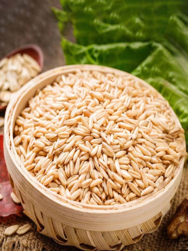 燕麦米 5斤 自产燕麦仁麦香味浓燕麦粒燕麦米