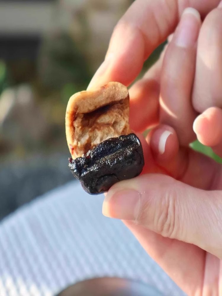 【九蒸九制】黄精抱枣 100g*4罐 无核红枣即食九华山黄精