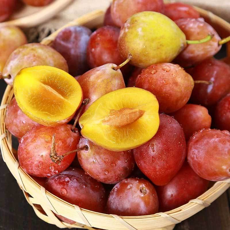 智利进口西梅2斤单果10g以上