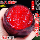 净重5斤特大果