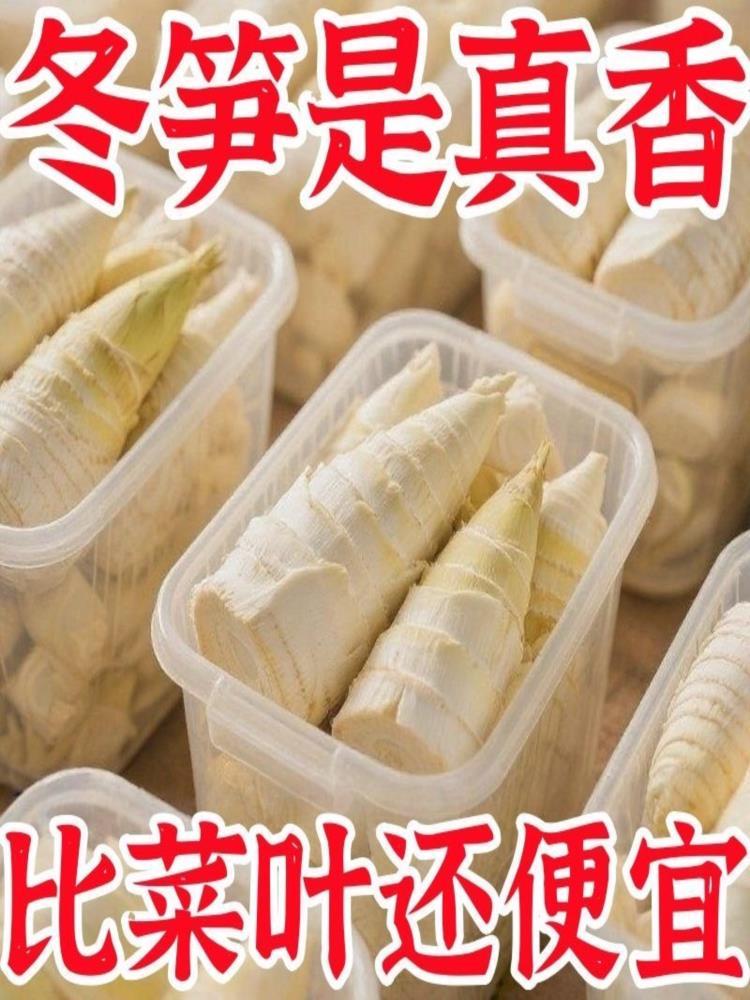 【福建特产】新鲜冬笋 5斤 竹笋野生春笋 冬笋水煮清水笋 火锅笋