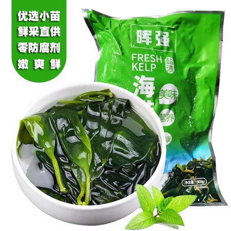 优选小苗霞浦盐渍海带嫩苗500g2袋鲜采直供