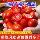 共同